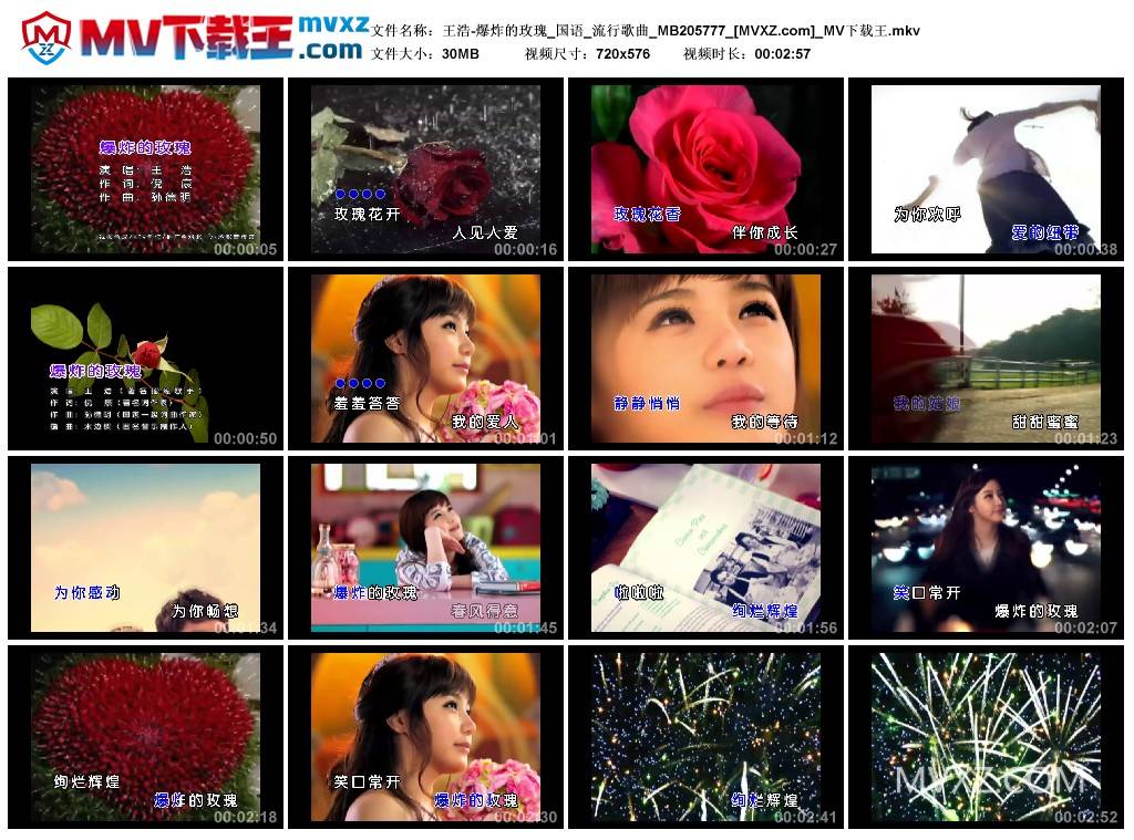 王浩-爆炸的玫瑰_国语_流行歌曲_MB205777